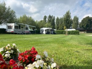Comfortbloem2